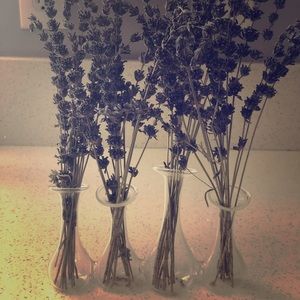 Unique Flower Vase